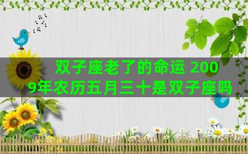 双子座老了的命运 2009年农历五月三十是双子座吗